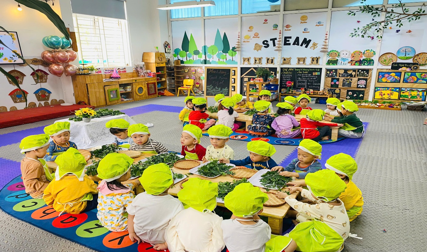 C:\Users\User\Desktop\NĂM HỌC 24 25\TUỐT RAU NGÓT\z6076087835060_27888c7000856c6c6417cf0bb765175b.jpg