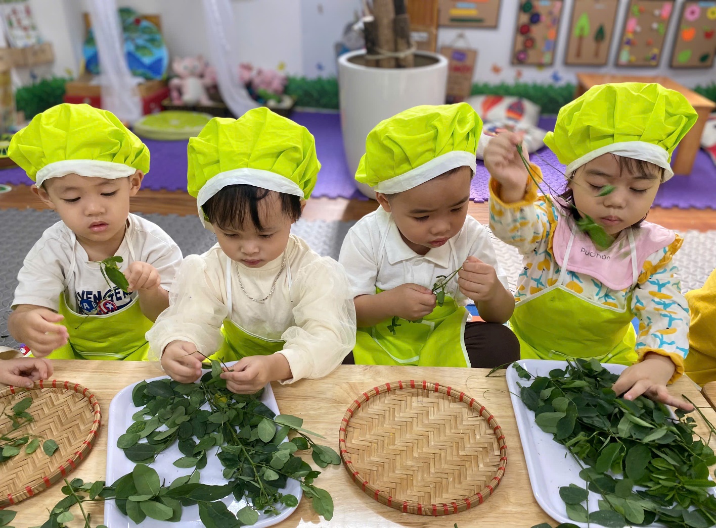 C:\Users\User\Desktop\NĂM HỌC 24 25\TUỐT RAU NGÓT\z6076087822786_76a7d99cba1e2eac62180c7d063e99f5.jpg