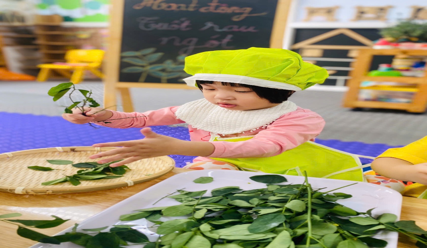 C:\Users\User\Desktop\NĂM HỌC 24 25\TUỐT RAU NGÓT\z6076087840367_a2d8dabd8000a2122e313a45433d3be4.jpg