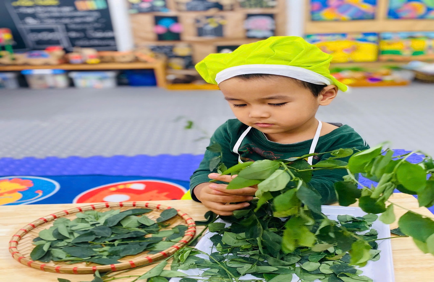 C:\Users\User\Desktop\NĂM HỌC 24 25\TUỐT RAU NGÓT\z6076088090624_766573d139ee41a4289177c25737a0b1.jpg