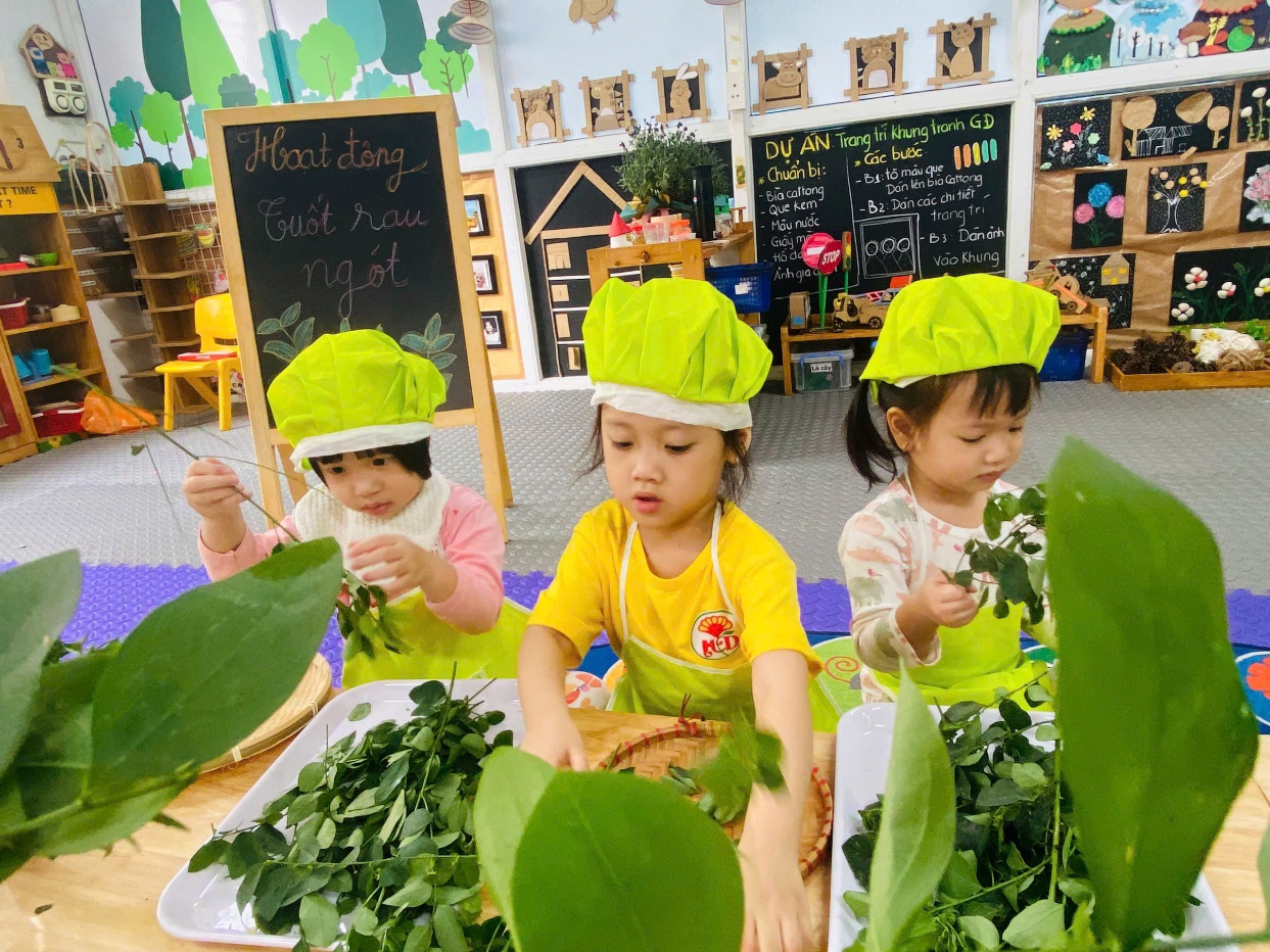 C:\Users\User\Desktop\NĂM HỌC 24 25\TUỐT RAU NGÓT\z6076087831802_b6b615be2ad4ffdd82d5e3d952574a03.jpg