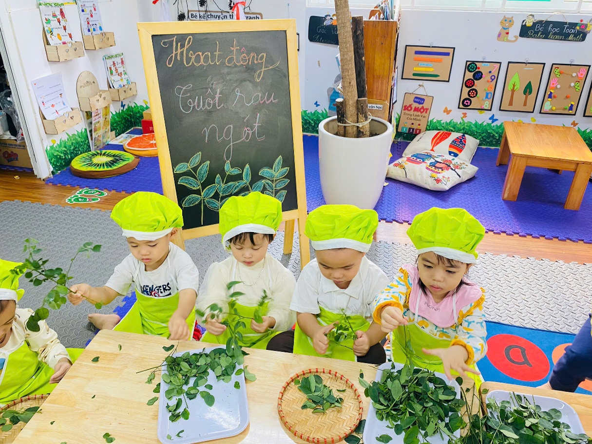 C:\Users\User\Desktop\NĂM HỌC 24 25\TUỐT RAU NGÓT\z6076087785747_7b60410b39bd62e74b7a39be2b8d7257.jpg