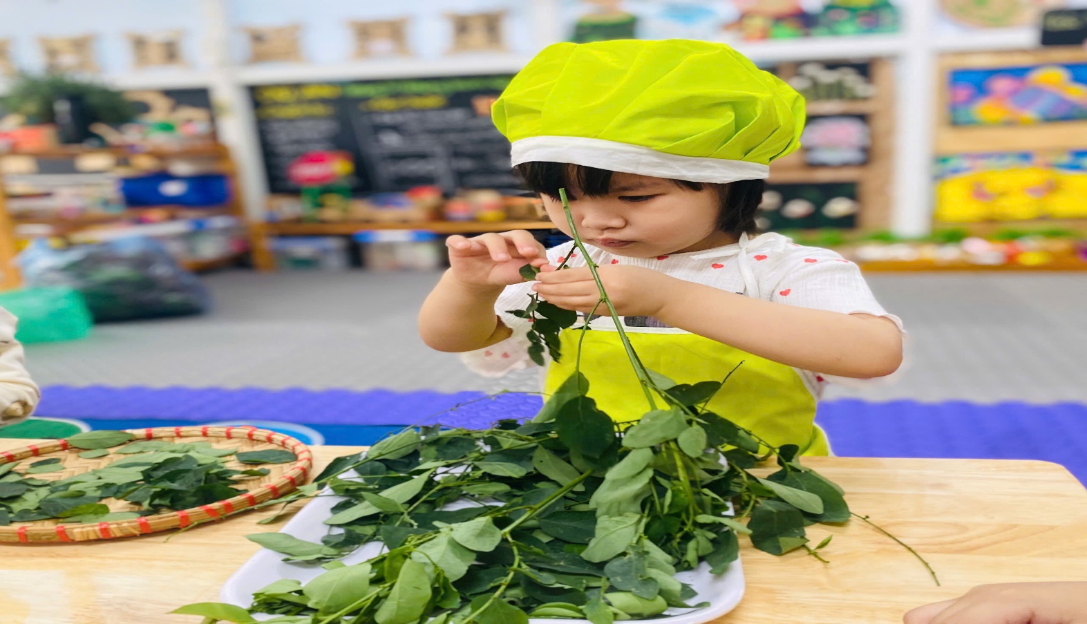 C:\Users\User\Desktop\NĂM HỌC 24 25\TUỐT RAU NGÓT\z6076088077012_205461202f2e1345fa19af7214153354.jpg