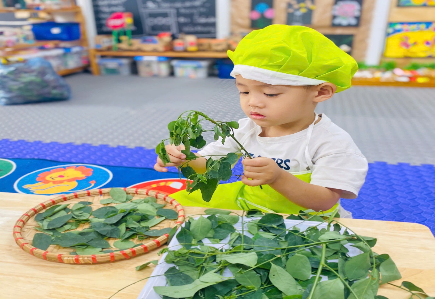 C:\Users\User\Desktop\NĂM HỌC 24 25\TUỐT RAU NGÓT\z6076088124660_1abcda756bc63f807b26ebd8329c9e81.jpg