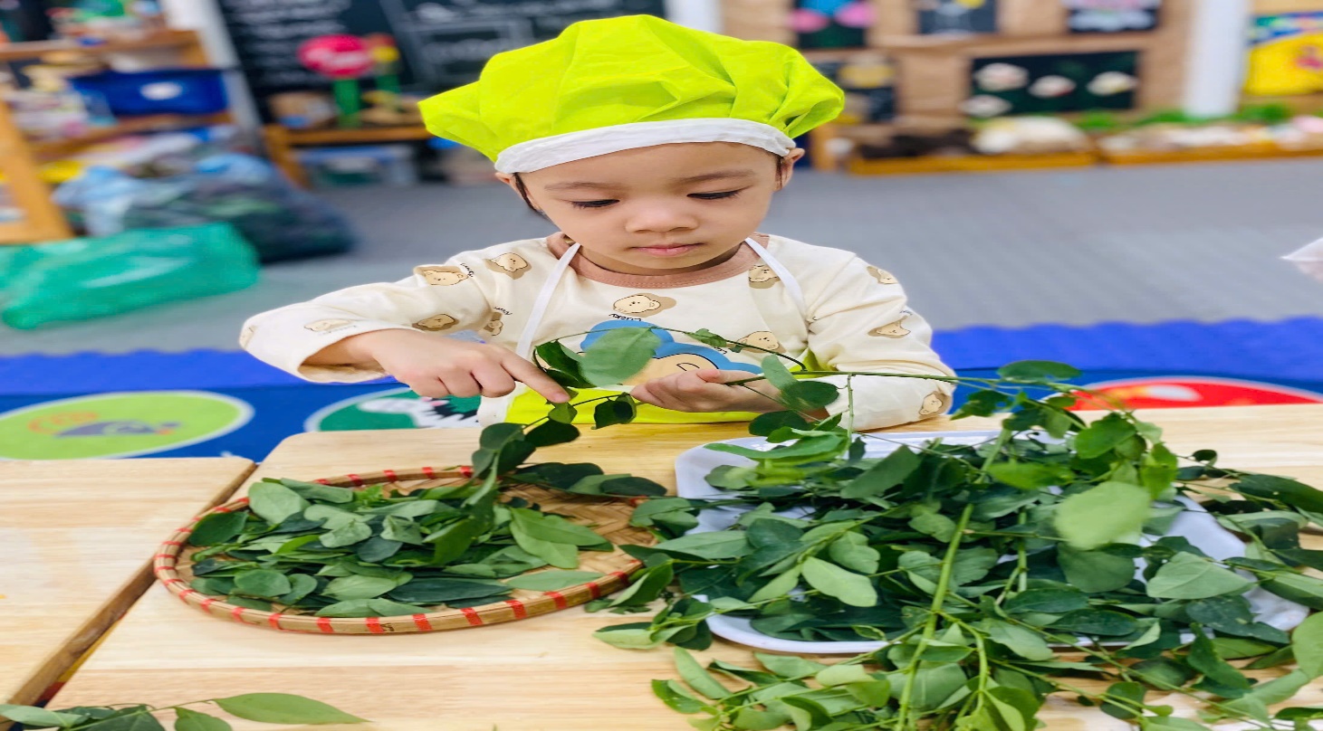 C:\Users\User\Desktop\NĂM HỌC 24 25\TUỐT RAU NGÓT\z6076087948559_459fce9f9bb6543bc55f523d46f26ea1.jpg