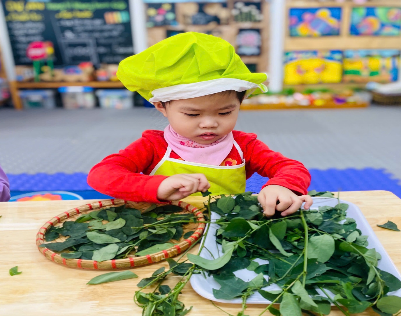 C:\Users\User\Desktop\NĂM HỌC 24 25\TUỐT RAU NGÓT\z6076088038388_09974e2ccdc968e97293d298a2f4f18f.jpg