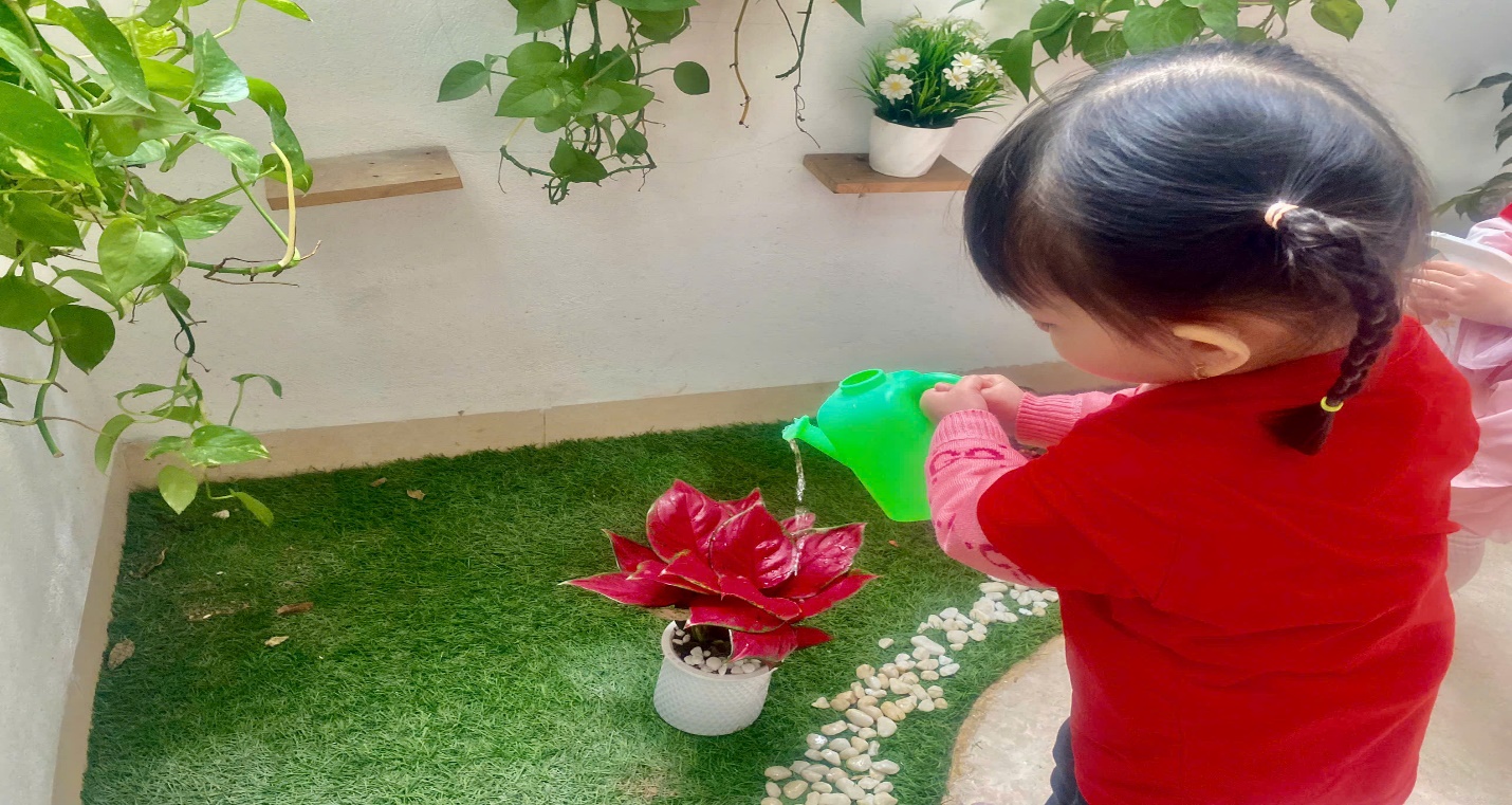 C:\Users\User\Desktop\NĂM HỌC 24 25\Ảnh Têt trồng cây\z6303382385118_23b8e268ba182a18f2718c832ea981de.jpg