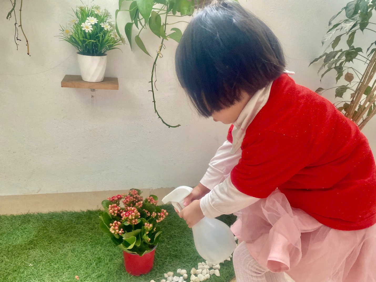 C:\Users\User\Desktop\NĂM HỌC 24 25\Ảnh Têt trồng cây\z6303705309842_f80efc4d2220ad3d045232446609e819.jpg