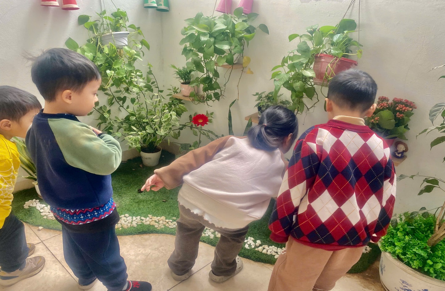 C:\Users\User\Desktop\NĂM HỌC 24 25\Ảnh Têt trồng cây\z6303380905064_8bd79139ece6290274c2d0c513ed5041.jpg