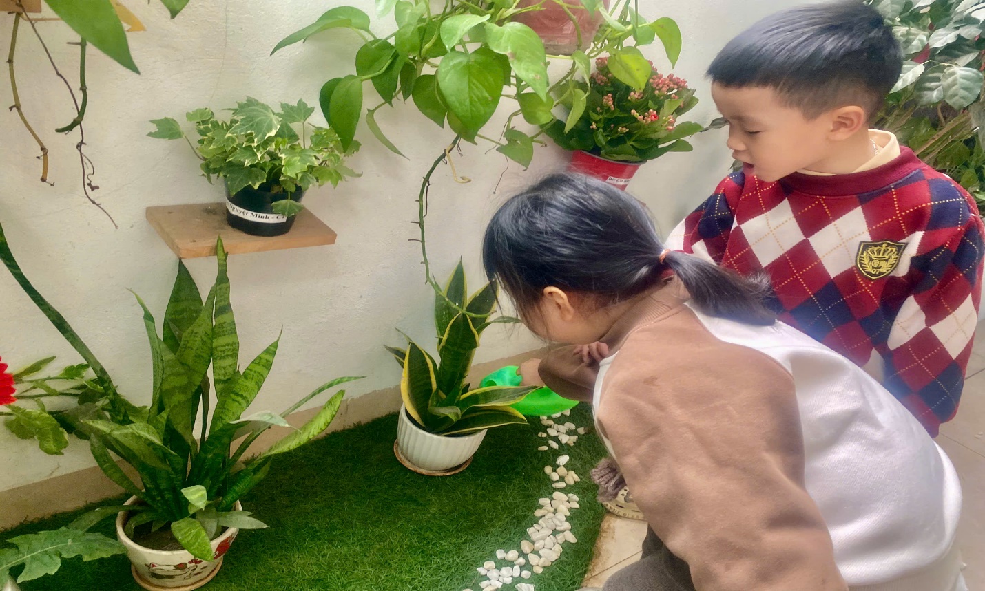 C:\Users\User\Desktop\NĂM HỌC 24 25\Ảnh Têt trồng cây\z6303379979841_53791e217ebf2b04cf889b58ee07a393.jpg