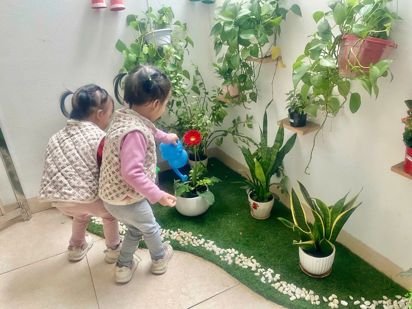 C:\Users\User\Desktop\NĂM HỌC 24 25\Ảnh Têt trồng cây\z6303378542671_d31185f662dc754dae9089ca58b0460b.jpg