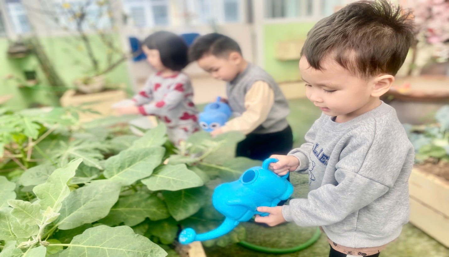 C:\Users\User\Pictures\Saved Pictures\z6425242736206_86b0eb8e69bbbf754db23f4be57acdd0.jpg