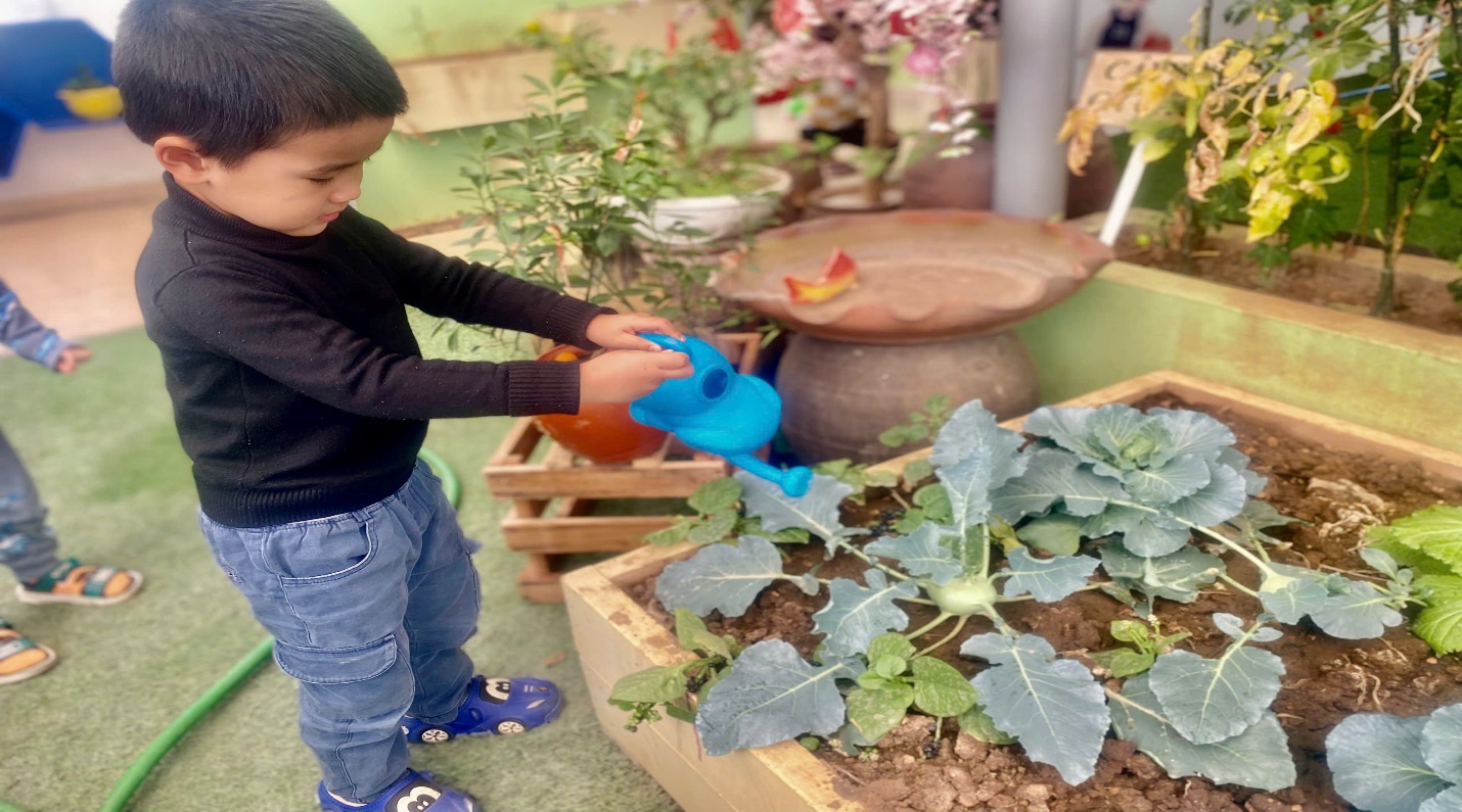 C:\Users\User\Pictures\Saved Pictures\z6425242488787_f7597f3341980cc7db8825f003e86623.jpg