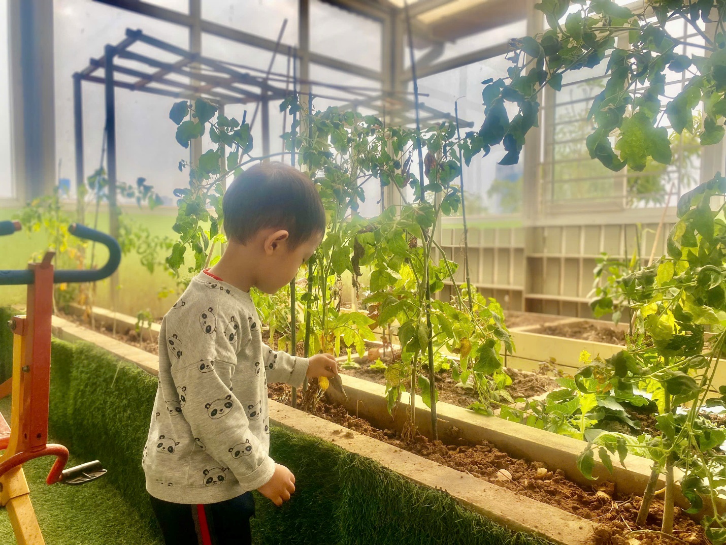 C:\Users\User\Pictures\Saved Pictures\z6425242463700_013d2a0e1eb4203727bff06d2e10dda6.jpg