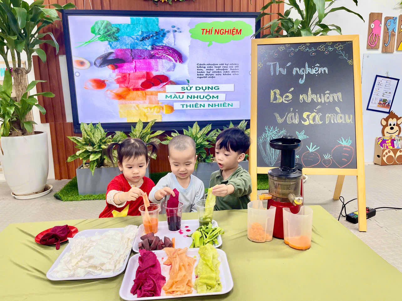 D:\C3 NĂM HỌC 2024-2025\ảnh lớp C3\TN Nhuộm vải\z6090294430837_c7482b80f801b273986cfefcf88170ff.jpg