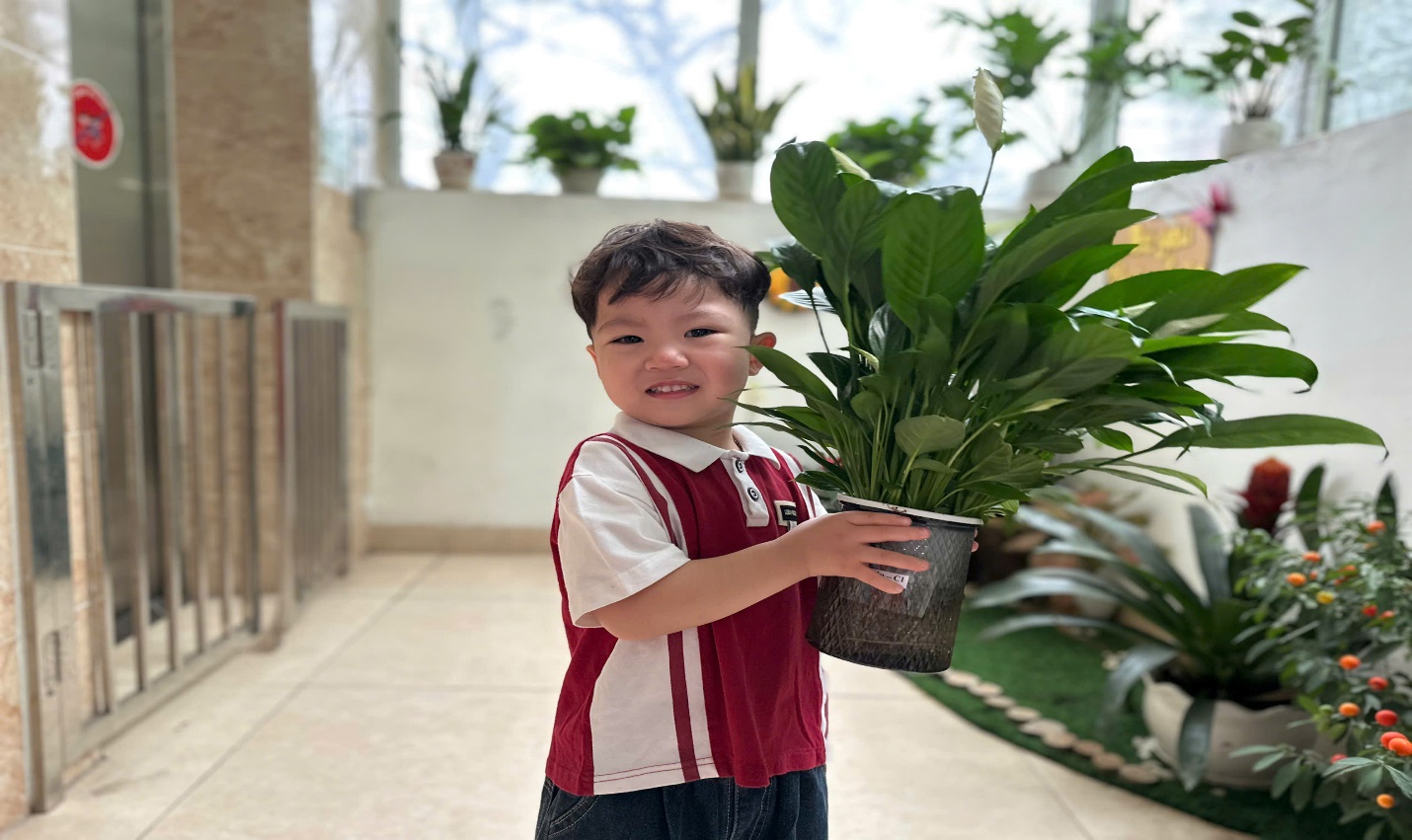 C:\Users\User\Pictures\Ảnh hoat đong lop c1\Ảnh Tết Trồng cây\z7565608126058_5453e3b7e23ce7585019dab2c6746ba8.jpg